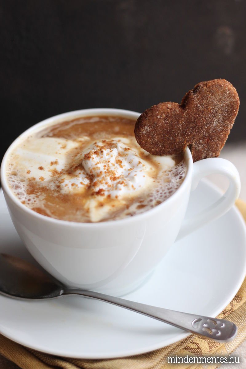 Mézeskalács latte - növényi tej alap, házilag, Vegital készülékkel