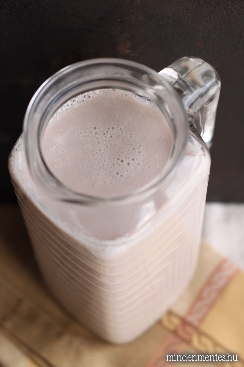 Mézeskalács latte - növényi tej alap, házilag, Vegital készülékkel