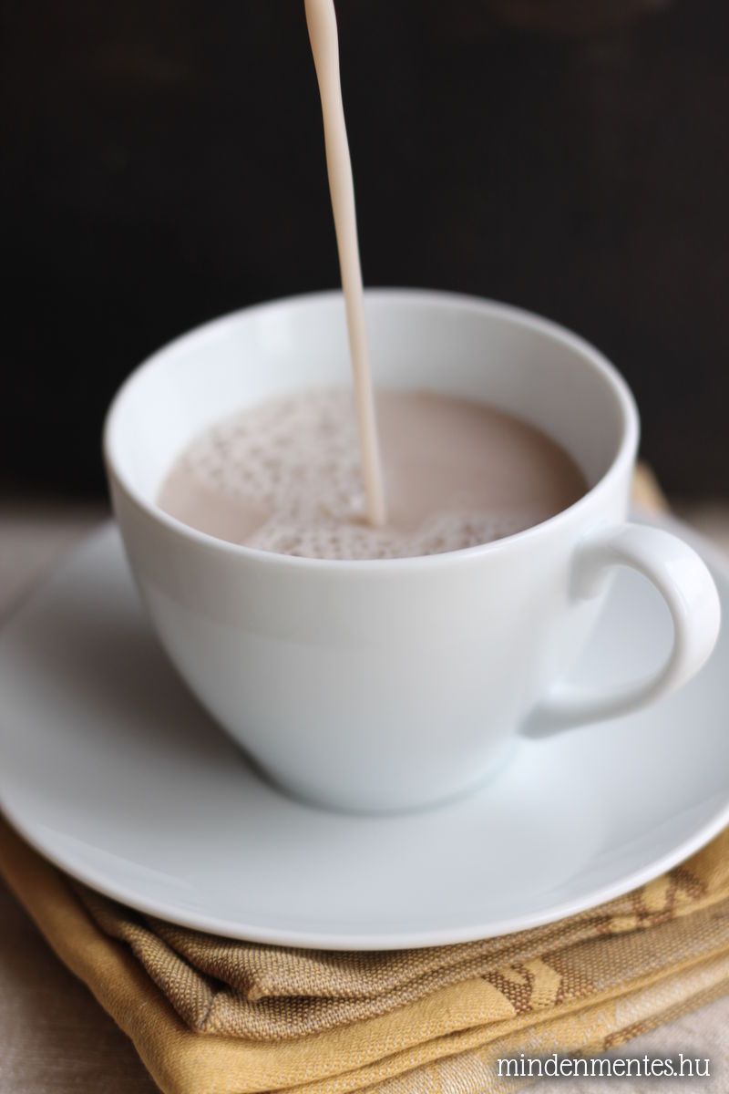 Mézeskalács latte - növényi tej alap, házilag, Vegital készülékkel