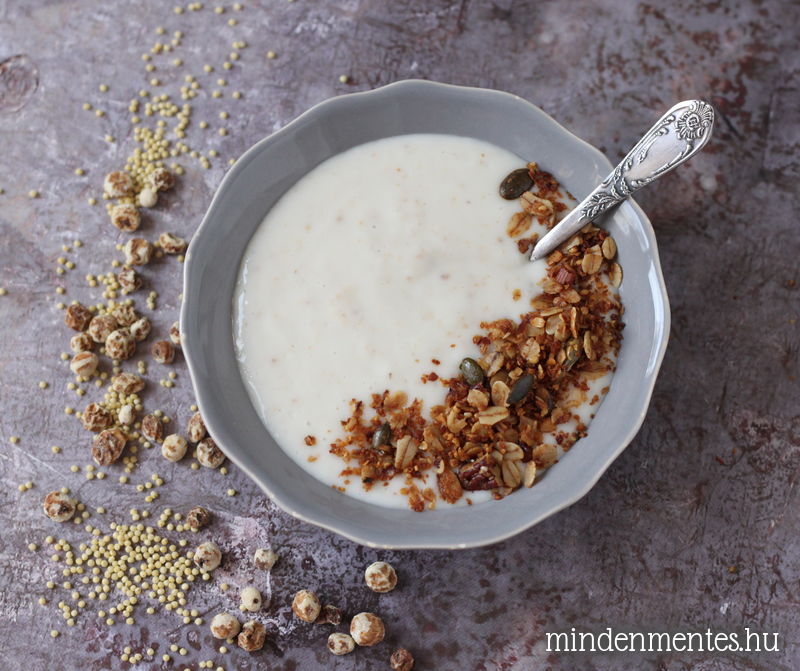 Növényi joghurt földi mandulából, probiotikus kultúrával, fermentáló gépben - magmentes, vegán recept |mindenmentes.hu
