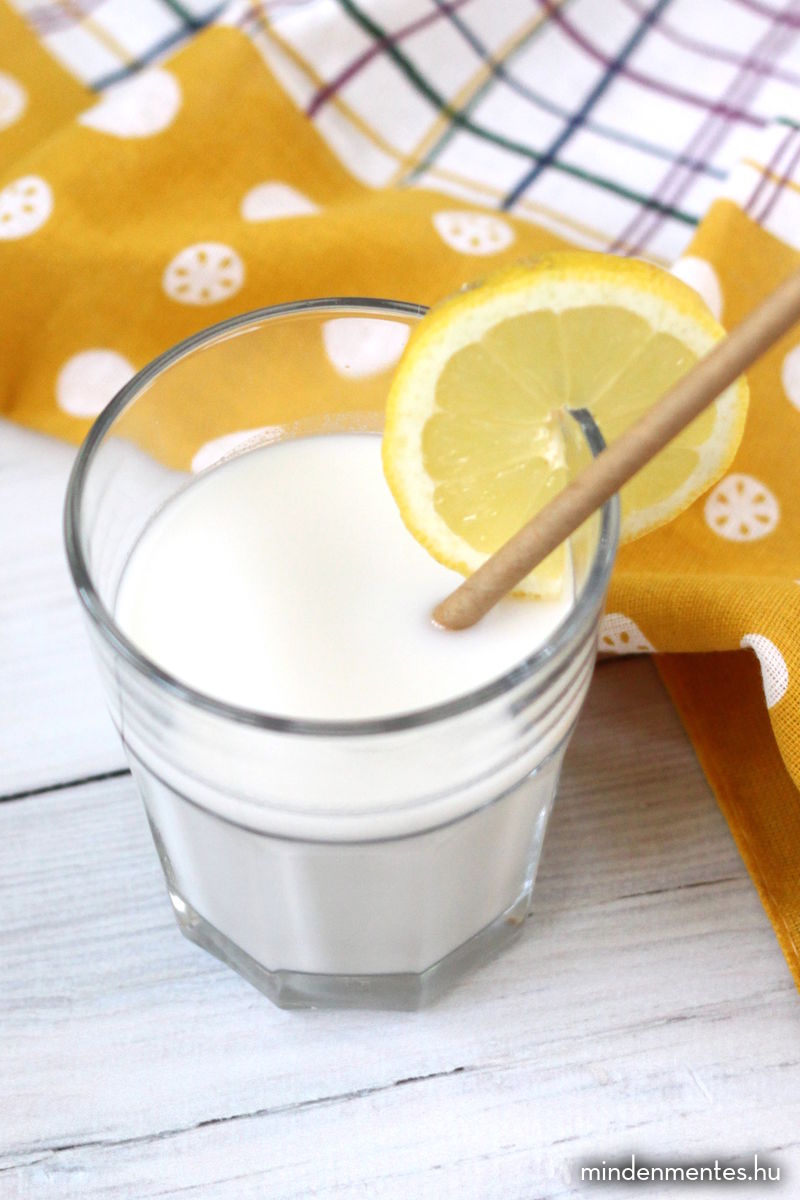 Citromos ivójoghurt (tejmentes, vegán) |mindenmentes.hu