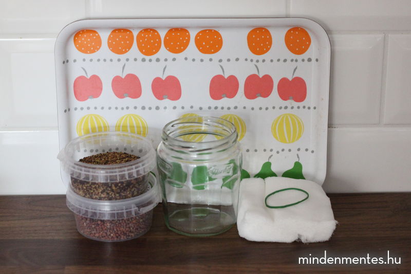 Csíráztatni egyszerűen |mindenmentes.hu