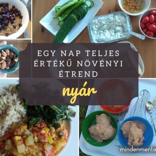 Egy nap teljes értékű növényi étrend - nyár |mindenmentes.hu