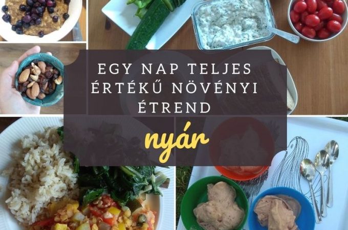 Egy nap teljes értékű növényi étrend - nyár |mindenmentes.hu