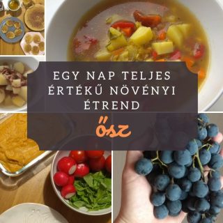 Egy nap teljes értékű növényi étrend - ősz |mindenmentes.hu