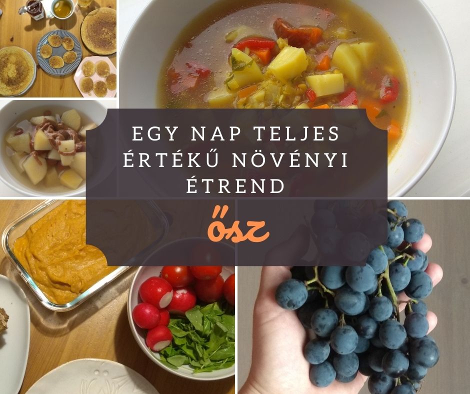 Teljes értékű növényi étrend – Mi ez, és miért jó nekünk?