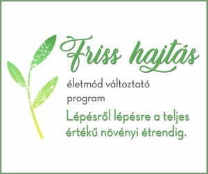 Friss hajtás életmód változtató program