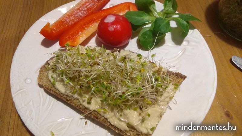 Egy nap teljes értékű növényi étrend - tavasz |mindenmentes.hu